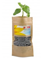 Green plant in customizable bag