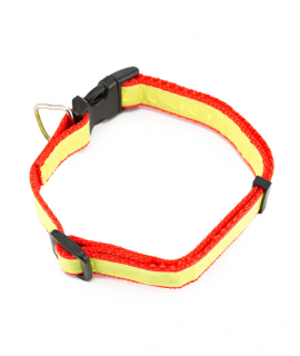 dog collar, small dog collar, safety collar, pet collar, promotional collar
