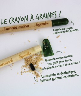 Crayons graines personnalisable, goodies éco-responsable