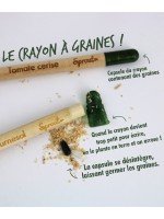 Crayons graines personnalisable, goodies éco-responsable